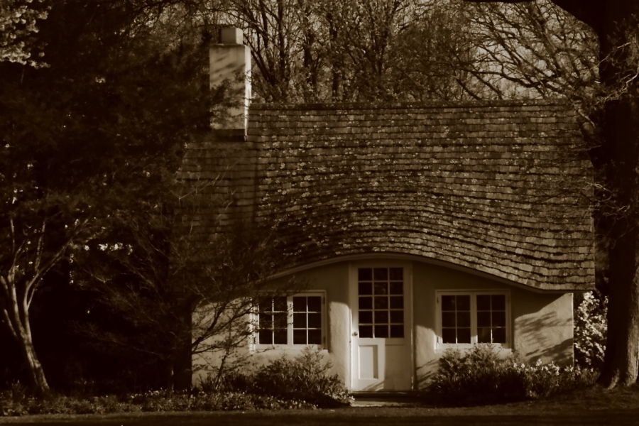 2011 04 25 IMG 28677e sepia